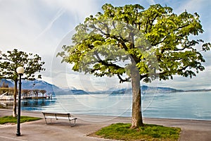 Zug promenade, Zug, Switzerland photo