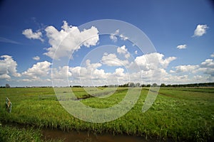 Zuidplaspolder between Gouda and Rotterdam to build new village and business park