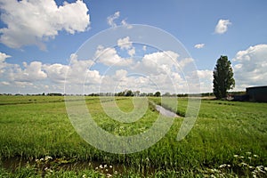 Zuidplaspolder between Gouda and Rotterdam to build new village and business park photo