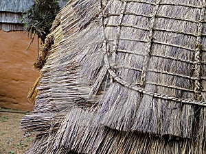 Shakaland, closeup of Zulu wooden hut with reed roof. South Africa