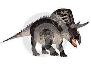 Zuniceratops