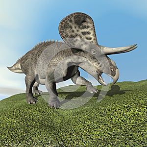 Zuniceratops dinosaur - 3D render