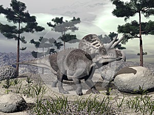 Zuniceratops dinosaur - 3D render