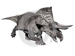 Zuniceratops dinosaur - 3d render