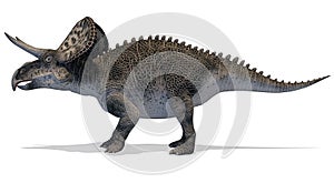 Zuniceratops Herbivorous dinosaur side