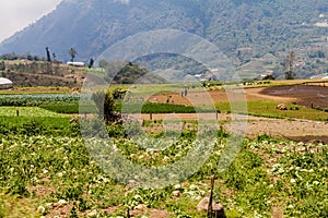 ZUNIL, GUATEMALA - MARCH 22, 2016: Local people work on a vegetable field near Zunil village, Guatema