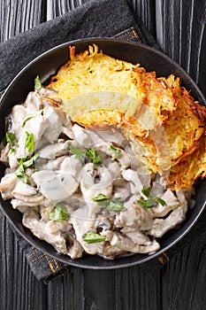 Zurcher Geschnetzeltes made of sliced veal strips, white wine, mushrooms, cream, and demiglace served with rosti closeup in the