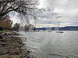 Zurich Lake Zurichsee or Zuerichsee in the area of Zurichhorn Park Zuerichhorn and the Tiefenbrunnen public bath - ZÃ¼rich