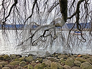 Zurich Lake Zurichsee or Zuerichsee in the area of Zurichhorn Park Zuerichhorn and the Tiefenbrunnen public bath - ZÃ¼rich