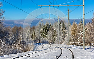 Zurich S-Bahn on Uetliberg mountain - Switzerland