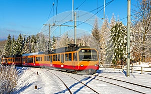 Zurich S-Bahn on the Uetliberg mountain