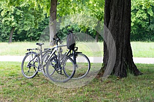 Zwei Fahrraeder im Park neben einem Baum.