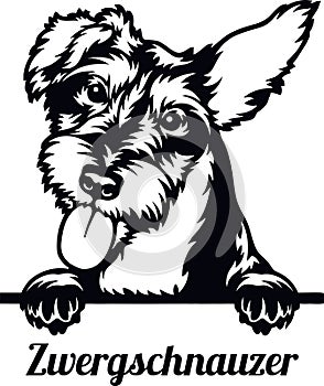 Zwergschnauzer Dog - Peeking Dog Breed - Pet Dog Vector Portrait, Dog Silhouette Stencil