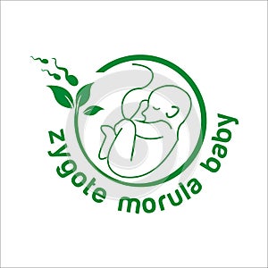 Zygote morula baby exclusive logo