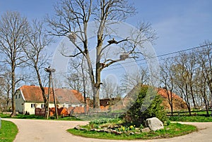 Zywkowo,Masuria,Poland photo