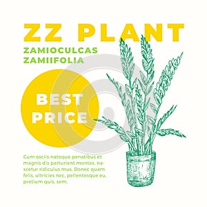 ZZ or Zuzu Plant Abstract Vector Sign or Label Template. Hand Drawn Potted Zamioculcas Sillhouette with Modern