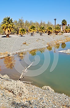 Zzyzx, Abandoned Spa, Mojave Desert