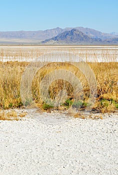 Zzyzx, Soda Lake, Mojave Desert