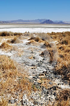 Zzyzx, Soda Lake, Mojave Desert