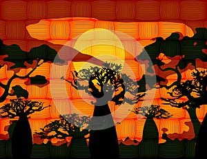 Sunset with landscape of baobab trees. Forest of Boab or Baobab Tree background. African Wax Print fabric, weaved fiber pattern photo