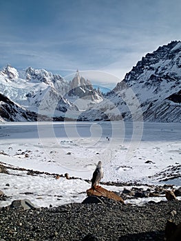 ÃÂguila Mora photo