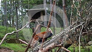 ÃâhtÃÂ¤ri zoo, finland