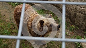 ÃâhtÃÂ¤ri zoo, finland