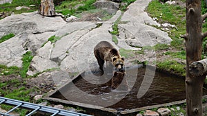 ÃâhtÃÂ¤ri zoo, finland