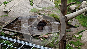 ÃâhtÃÂ¤ri zoo, finland