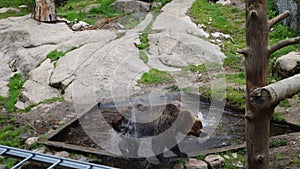 ÃâhtÃÂ¤ri zoo, finland