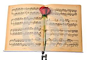 ÃÅusical notes and red rose