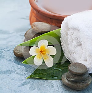 ÃÂ«pa objects and stones for bofy or face massage treatment