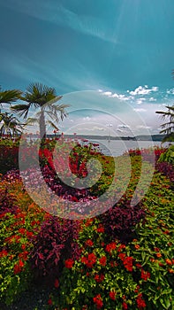 ÃÅberlingen and Lake Constance(Bodensee), Germany photo