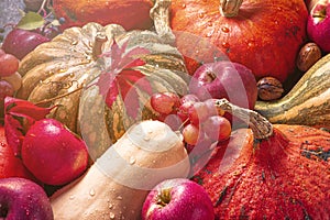 ÃÂutumn agricultural still life from the harvest of fruits and vegetables, selective focus, flat lay