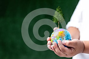 à¹‡World Earth Day and ESG and co2 concept. Human hand holding young earth and plant in ecology and environment sustainable