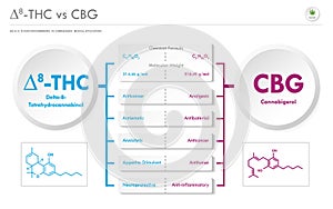 âˆ†8-THC vs CBG, Delta 8 Tetrahydrocannabinol vs Cannabigerol horizontal business infographic