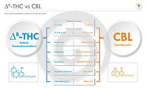 âˆ†8-THC vs CBL, Delta 8 Tetrahydrocannabinol vs Cannabicyclol horizontal business infographic