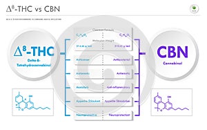 âˆ†8-THC vs CBN, Delta 8 Tetrahydrocannabinol vs Cannabinol horizontal business infographic