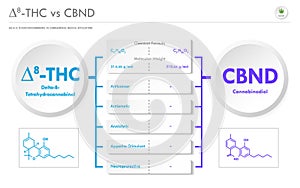 âˆ†8-THC vs CBND, Delta 8 Tetrahydrocannabinol vs Cannabinodiol horizontal business infographic