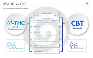 âˆ†8-THC vs CBT, Delta 8 Tetrahydrocannabinol vs Cannabitriol horizontal business infographic