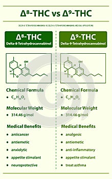 âˆ†8-THC vs âˆ†9-THC, Delta 8 Tetrahydrocannabinol vs Delta 9 Tetrahydrocannabinol, vertical infographic