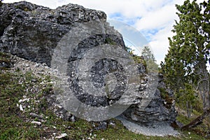 ÃœÃ¼gu Cliff in Muhu island, Estonia. Dolomite cliffs