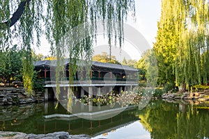 ä¸­å›½å…¬åŒ—äº¬ä¸­å±±å…¬å›­ Zhongshan Park, Beijing, China