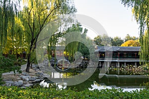 ä¸­å›½å…¬åŒ—äº¬ä¸­å±±å…¬å›­ Zhongshan Park, Beijing, China