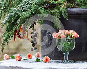 Ð’elicate roses and Christmas-tree in the snow