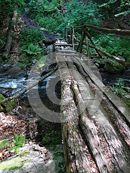 Ð’ooden bridge in green forest