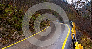 Ðœountain road with yellow marking lines goes into the distance through the forest