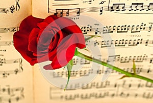 Ðœusical notes and red rose