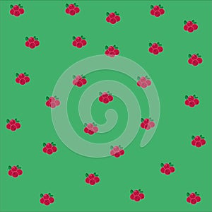 ÐŸÐµÑ‡Ð°Ñ‚ÑŒgreen square with cranberries