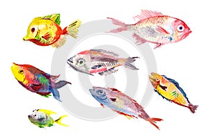 ÐŸÐµÑ‡Ð°Ñ‚ÑŒWatercolor fishes collection on white background.